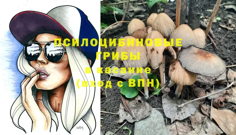 Галлюциногенные грибы MAGIC MUSHROOMS Жуковка